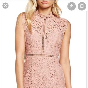 Bardot pink Lace Sheath Dress